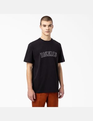 Black Dickies Union Springs Short Sleeve T-Shirts | 145SEMXBL