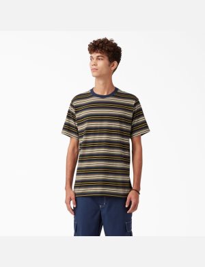 Black/Moss Stripe Dickies Skateboarding Striped T-Shirts | 769TJFXKP