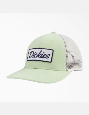 Celadon Green/Cloud Dickies Patch Logo Trucker Hats | 037EAVOSF