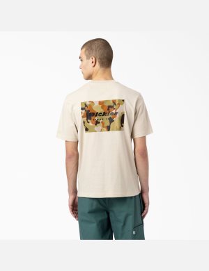 Cement Dickies Artondale Graphic T-Shirts | 238ZPQWIU