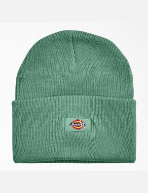 Dark Ivy Dickies Cuffed Knit Hats | 217TGMKRF