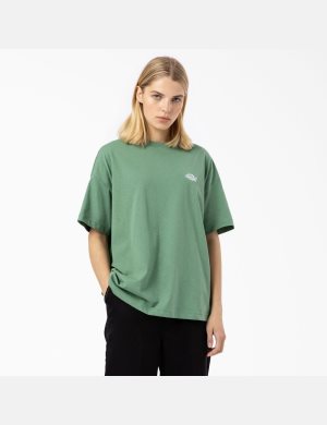 Dark Ivy Dickies Summerdale Short Sleeve T-Shirts | 473ADXQMW