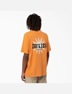 Golden Glow Dickies Kelso Graphic T-Shirts | 043MGLAOH