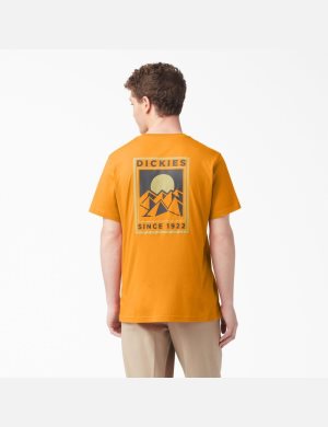 Golden Glow Dickies Pacific Graphic T-Shirts | 271HZGYUF