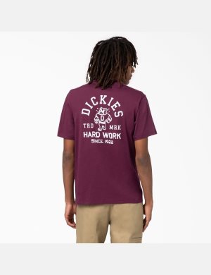 Grape Wine Dickies Cleveland Short Sleeve Graphic T-Shirts | 241AETDRM