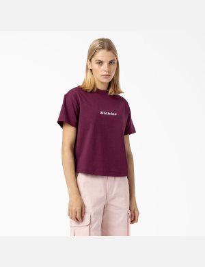 Grape Wine Dickies Loretto T-Shirt Cropped Tops | 516JVETIX