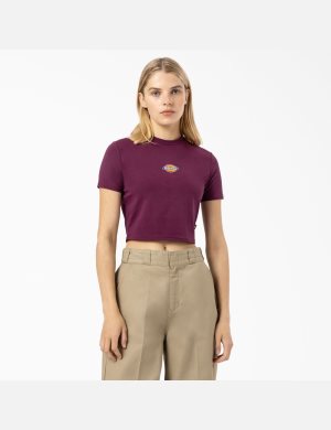 Grape Wine Dickies Maple Valley T-Shirt Cropped Tops | 082OYTIBE