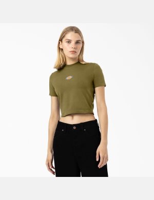 Green Moss Dickies Maple Valley T-Shirt Cropped Tops | 213KSFDWO