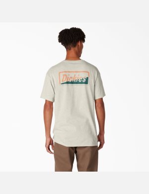 Oatmeal Heather Dickies Skateboarding Split Graphic T-Shirts | 297JTWDIB