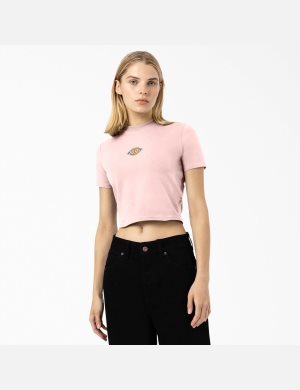 Pink Dickies Maple Valley T-Shirt Cropped Tops | 246PDLUVX