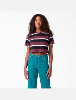 Wine Collegiate Stripe Dickies Striped T-Shirt Cropped Tops | 573CUSOWZ