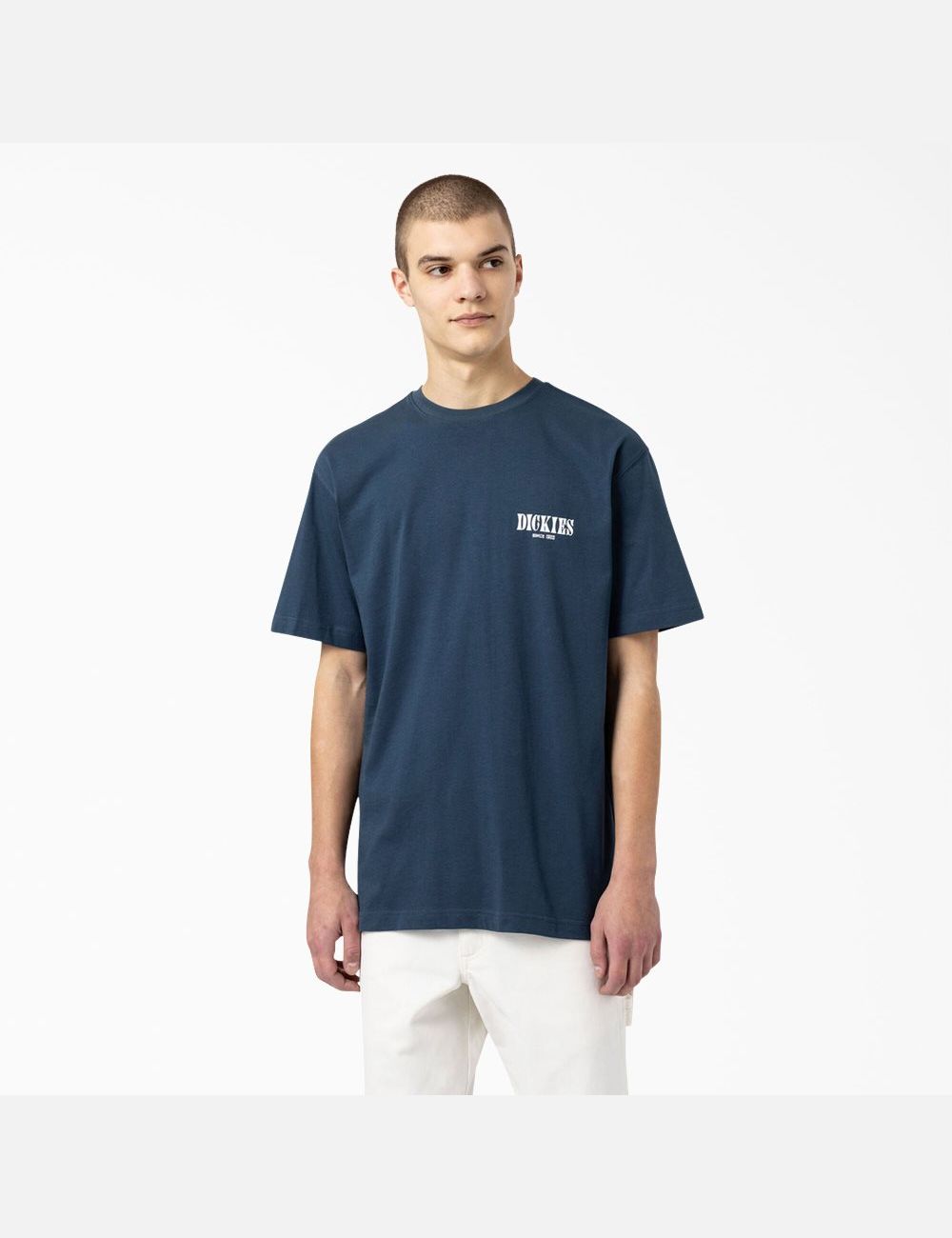 Airforce Blue Dickies Kelso Graphic T-Shirts | 972JNKFBX