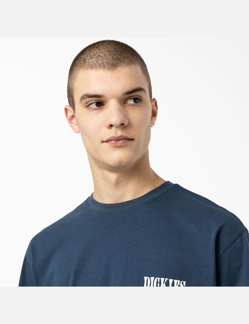 Airforce Blue Dickies Kelso Graphic T-Shirts | 972JNKFBX