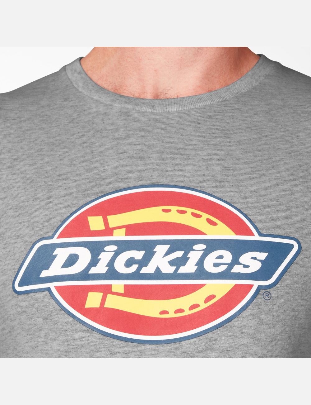 Ash Gray Dickies Logo Graphic T-Shirts | 598LETFCH