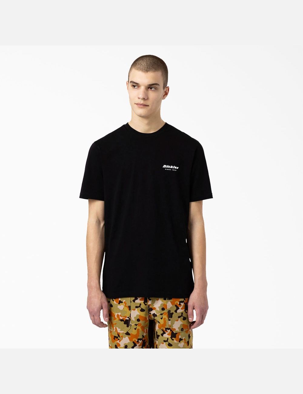 Black Dickies Artondale Graphic T-Shirts | 315NIASLT