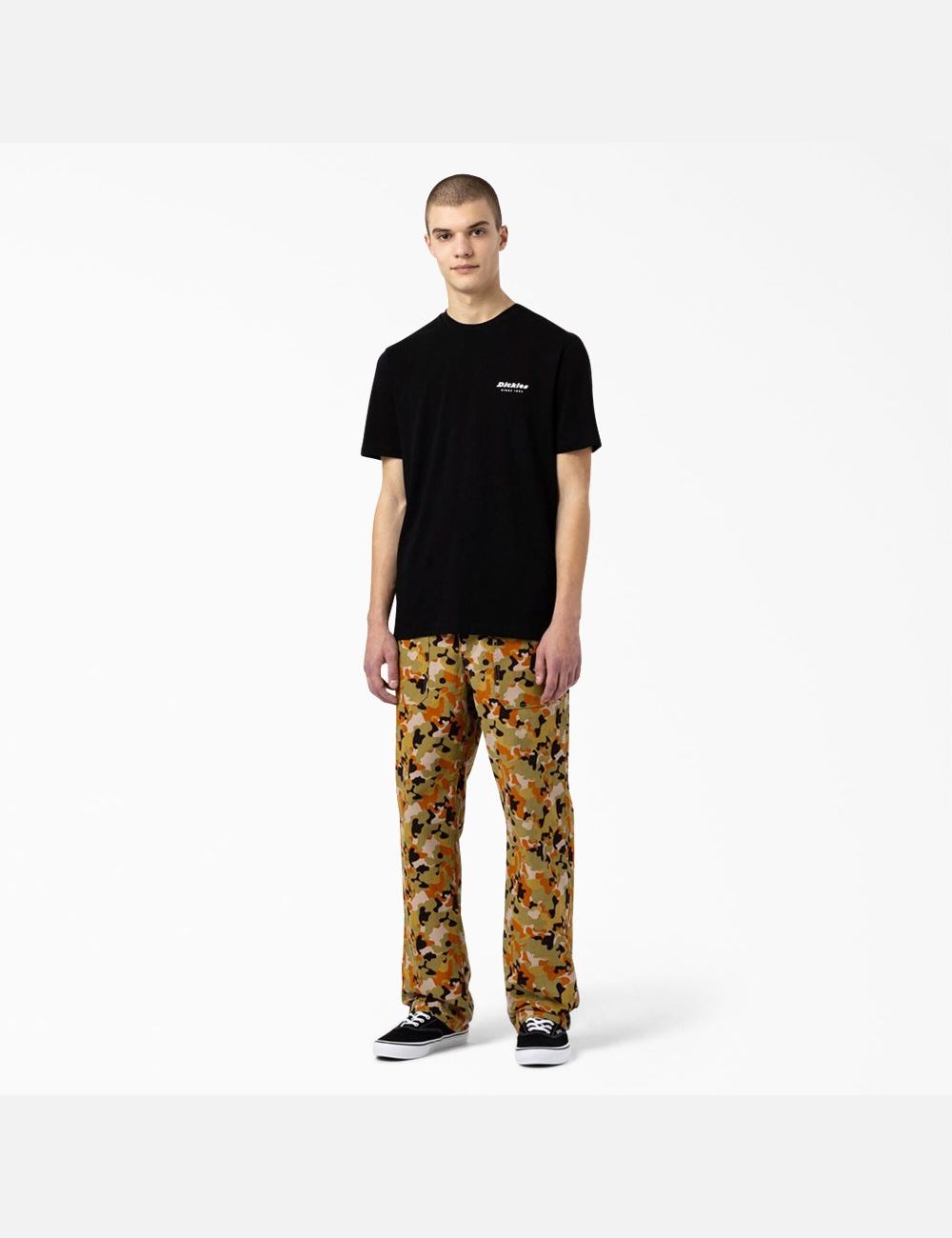 Black Dickies Artondale Graphic T-Shirts | 315NIASLT