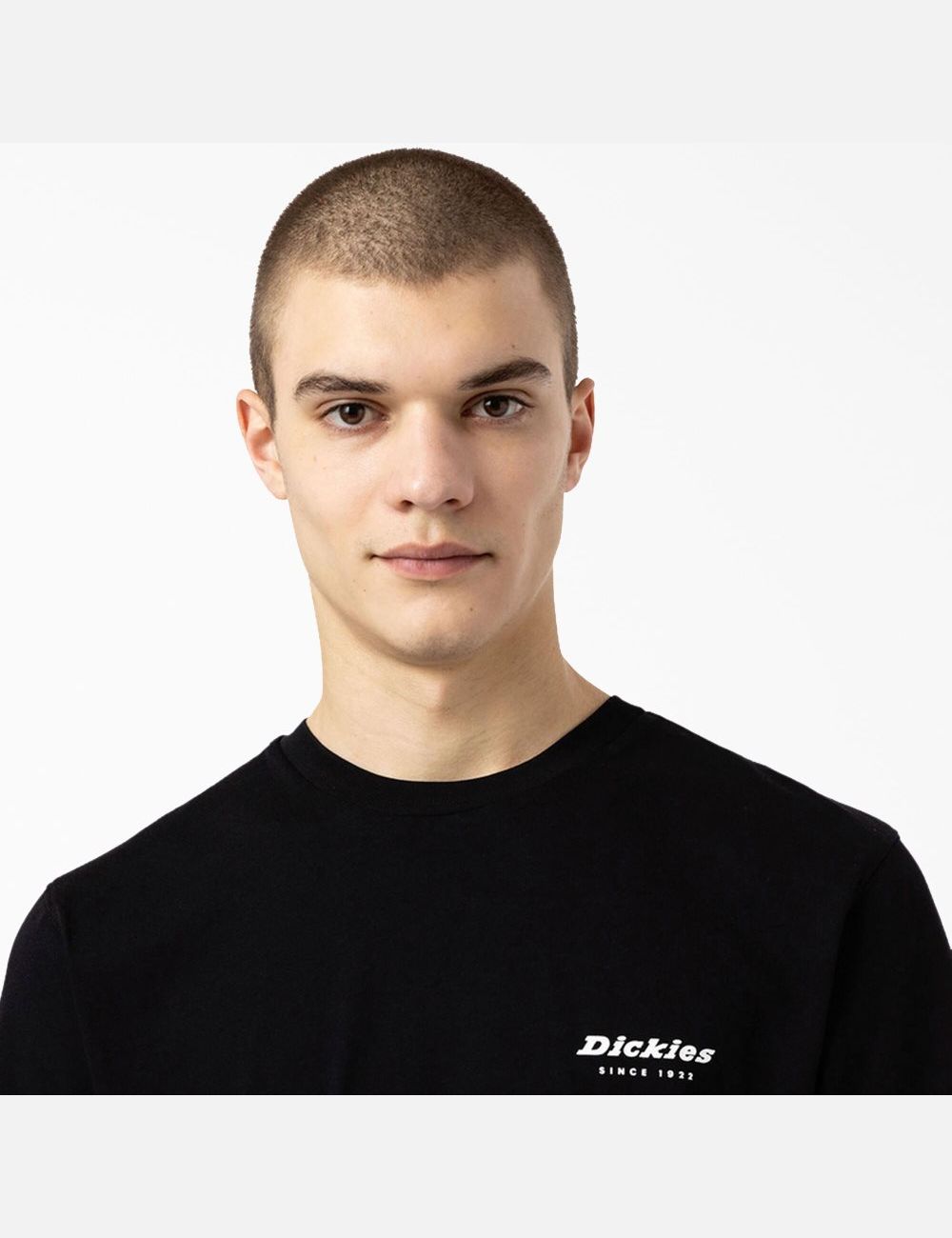 Black Dickies Artondale Graphic T-Shirts | 315NIASLT