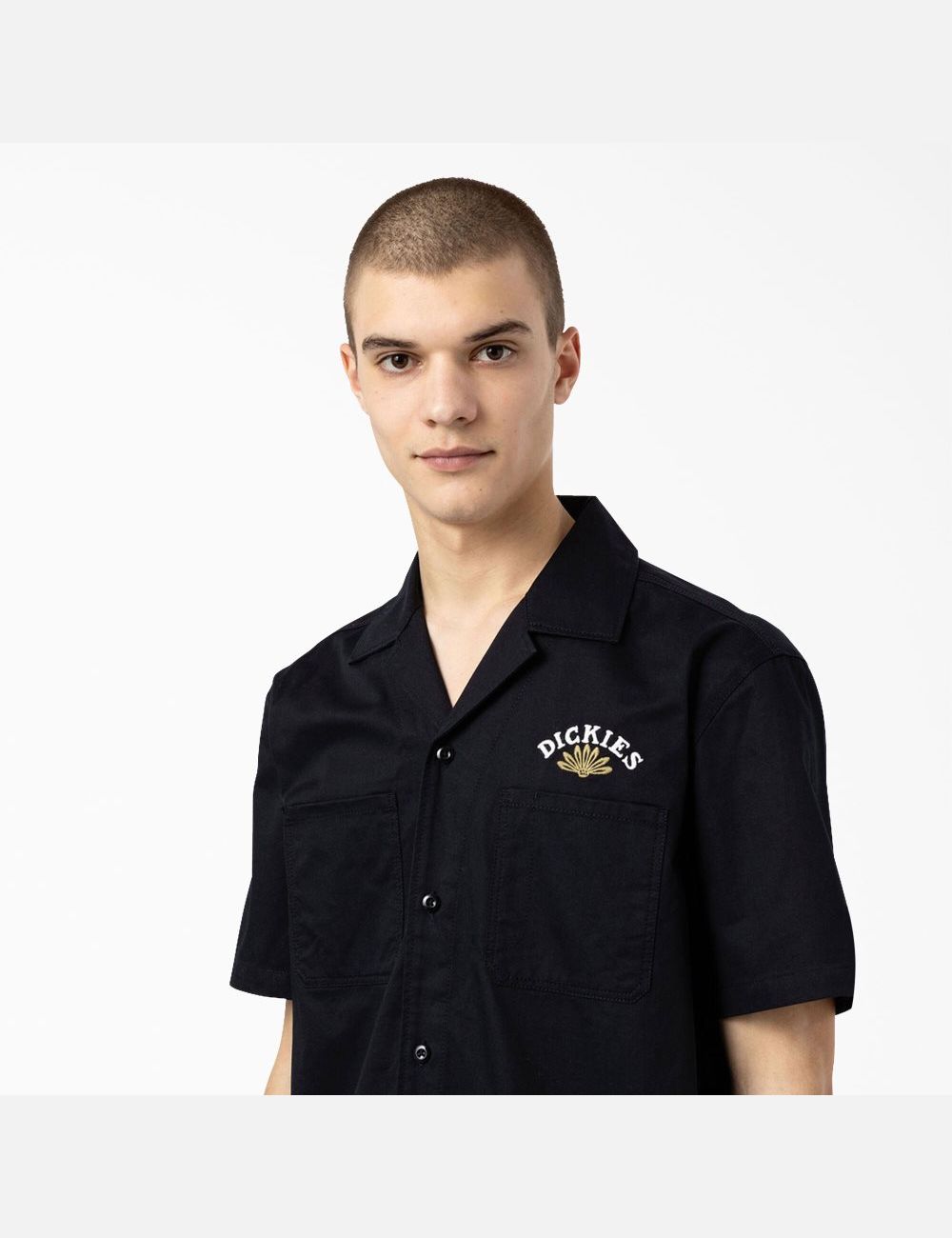 Black Dickies Fort Lewis Embroidered Short Sleeve Work Shirts | 865ZFOCSQ