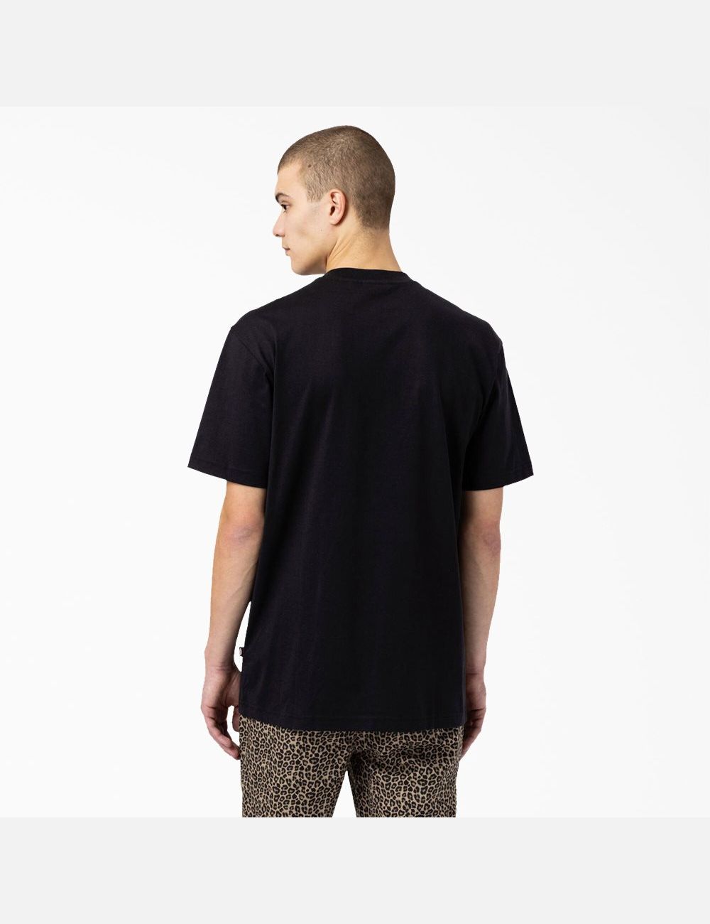 Black Dickies Skateboarding Mount Vista T-Shirts | 845OYSJKR