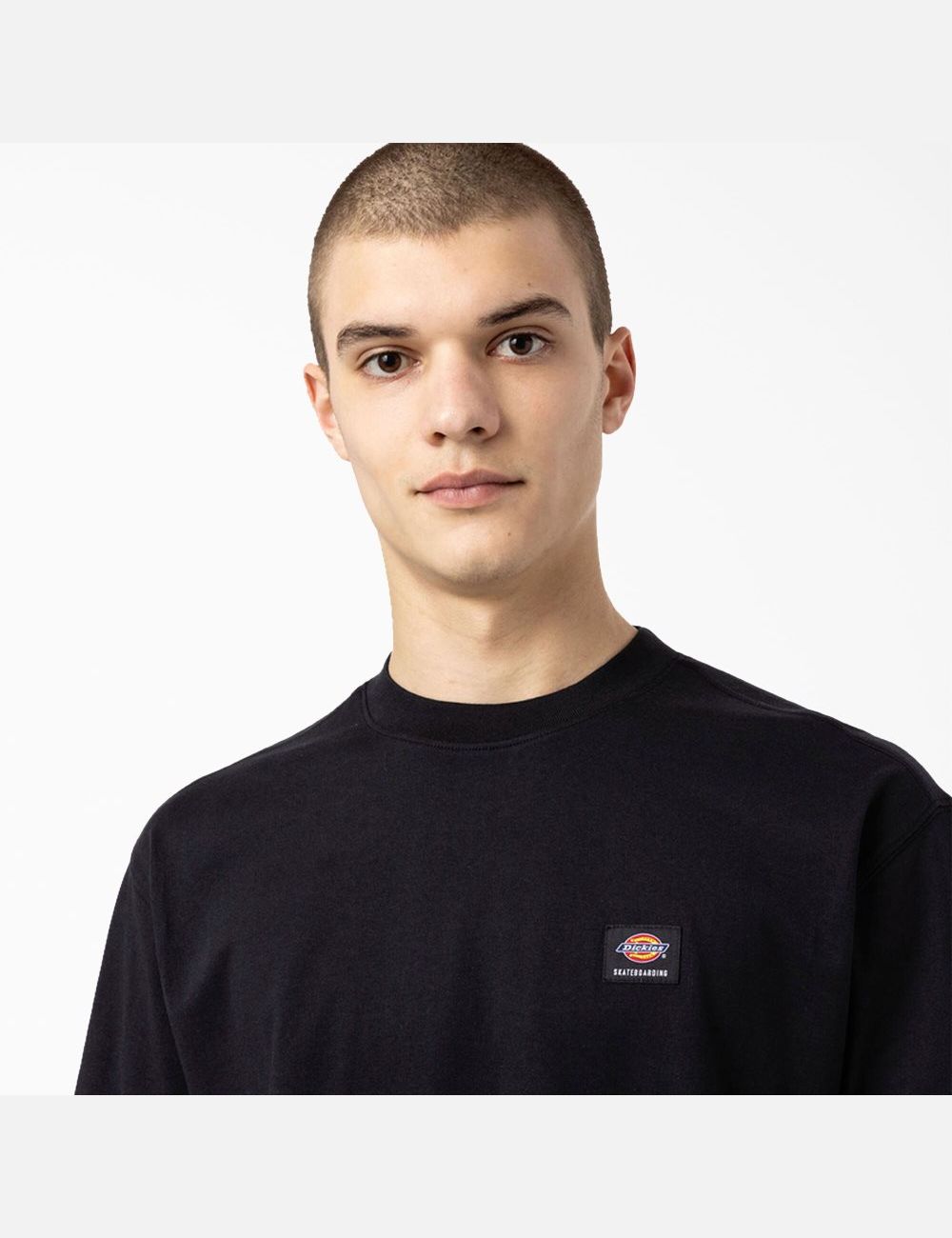 Black Dickies Skateboarding Mount Vista T-Shirts | 845OYSJKR