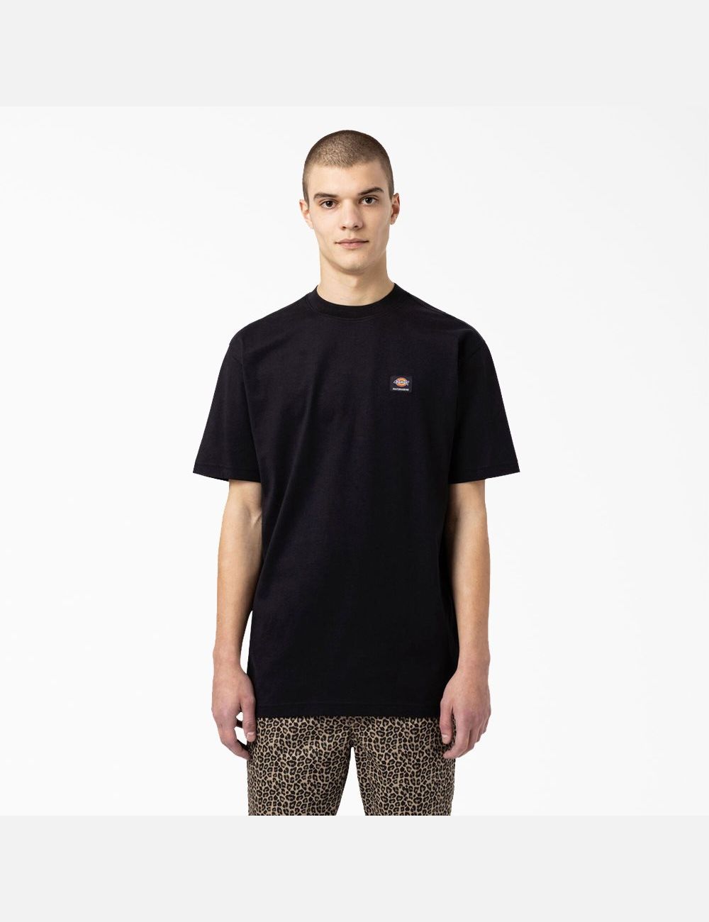 Black Dickies Skateboarding Mount Vista T-Shirts | 845OYSJKR