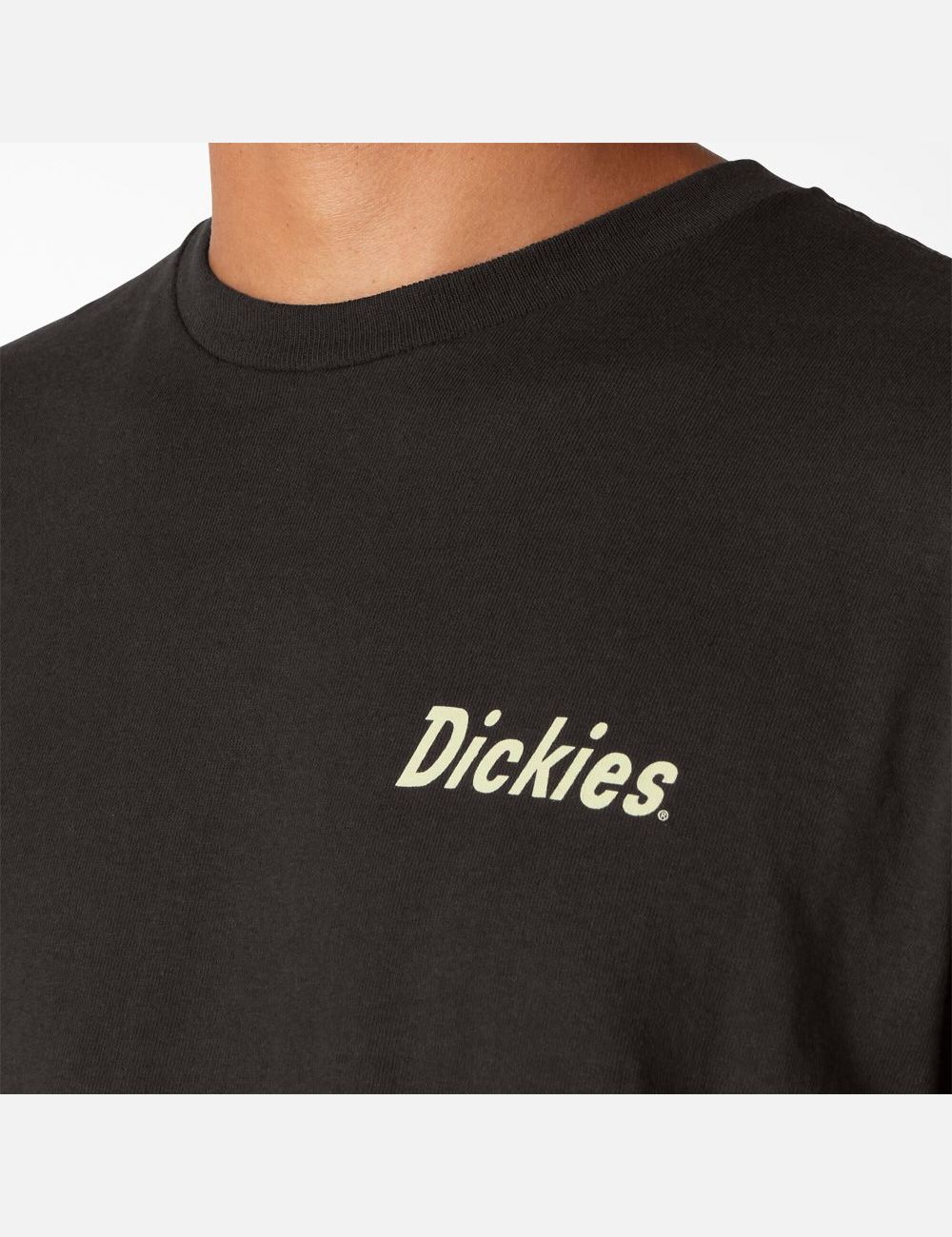 Black Dickies Skateboarding Split Graphic T-Shirts | 283HVNQPT