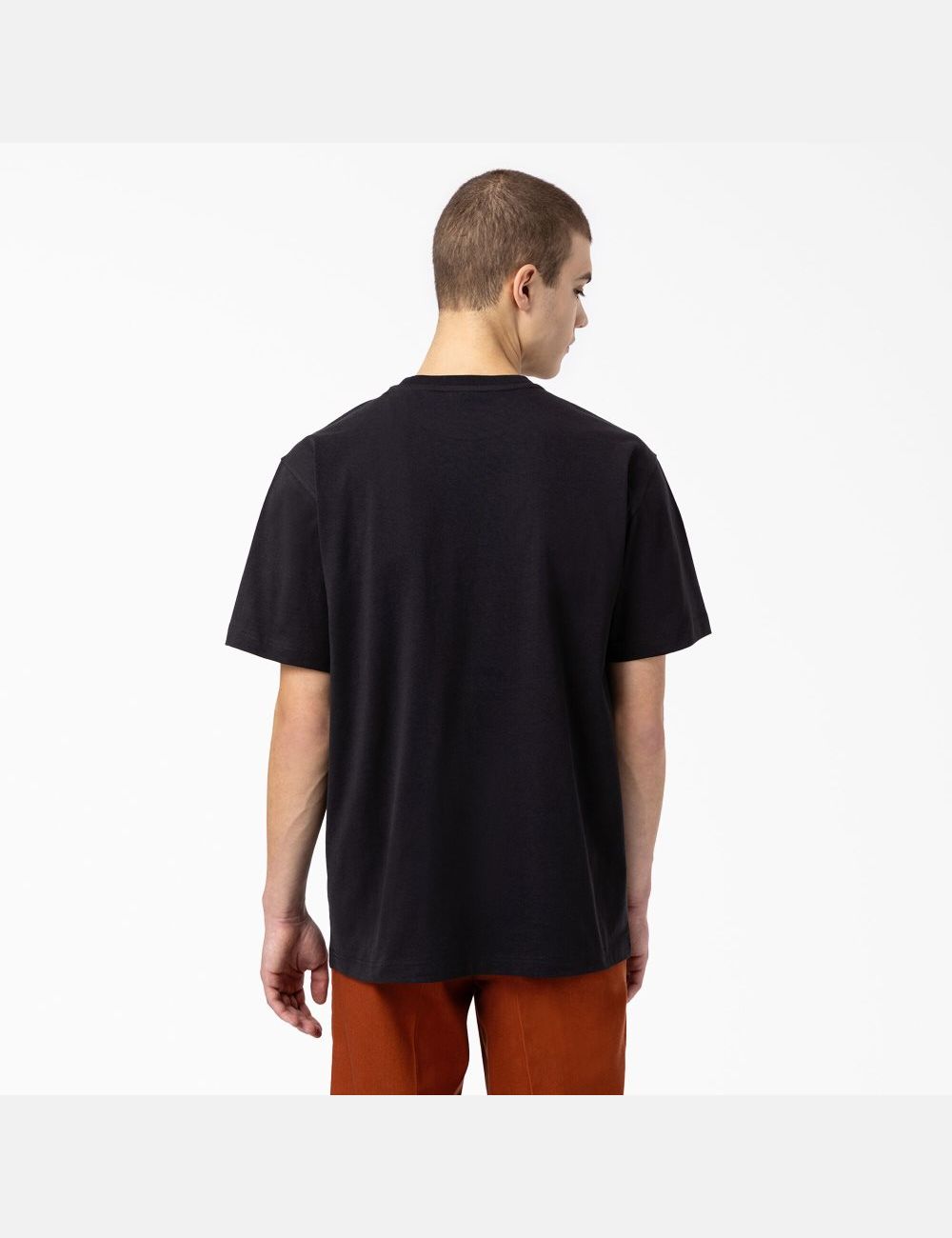 Black Dickies Union Springs Short Sleeve T-Shirts | 145SEMXBL