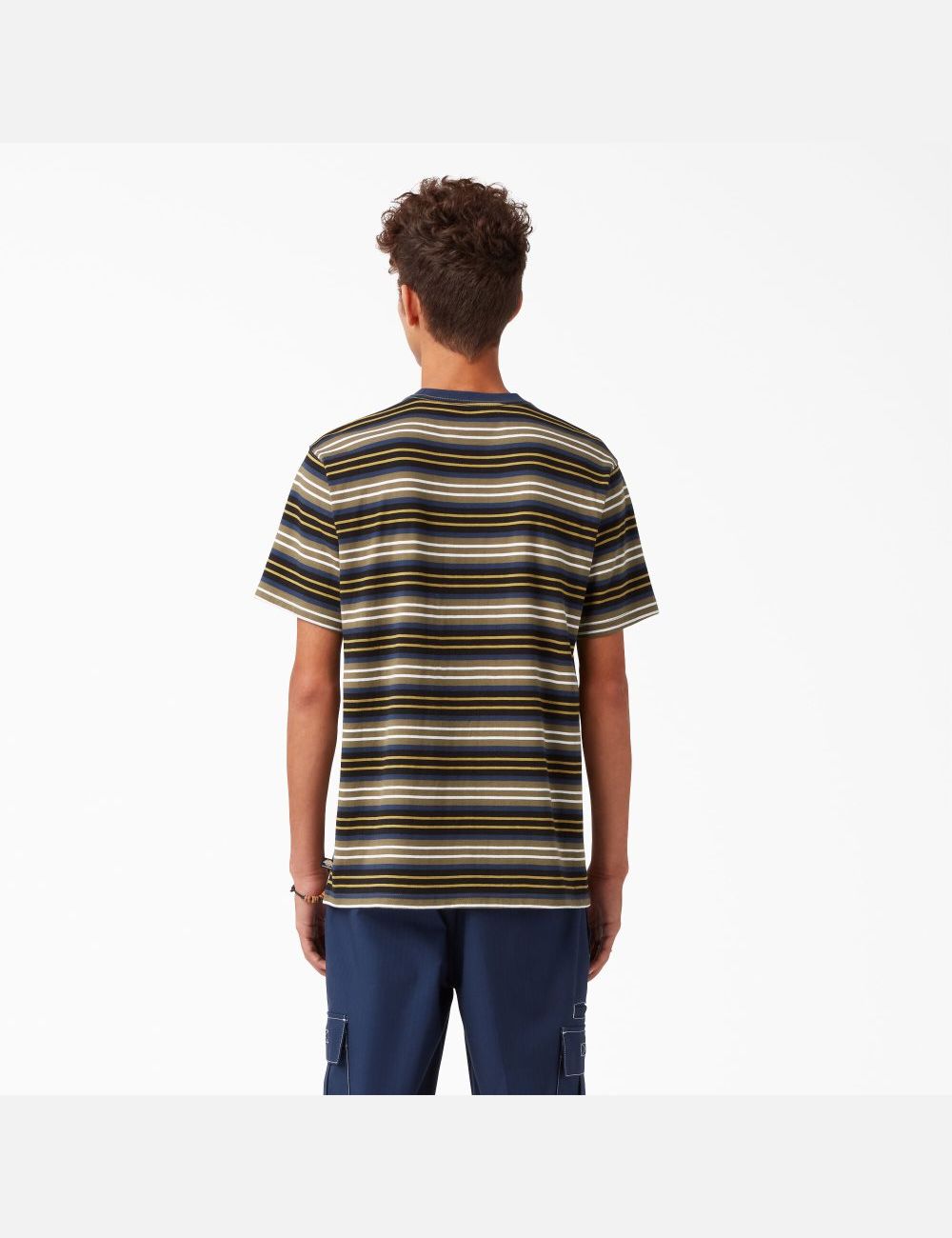 Black/Moss Stripe Dickies Skateboarding Striped T-Shirts | 769TJFXKP