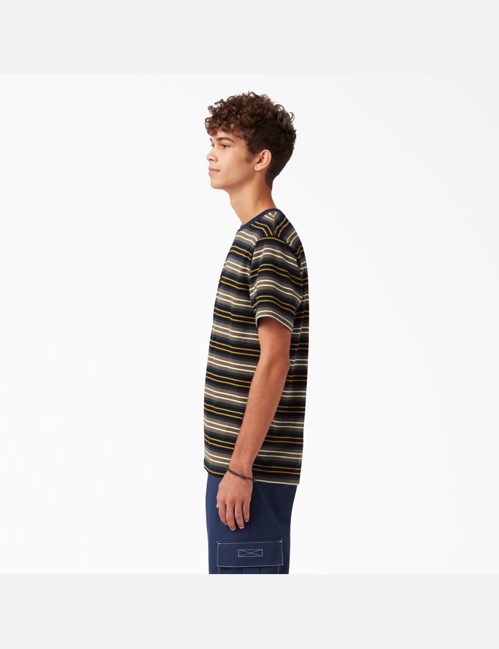 Black/Moss Stripe Dickies Skateboarding Striped T-Shirts | 769TJFXKP