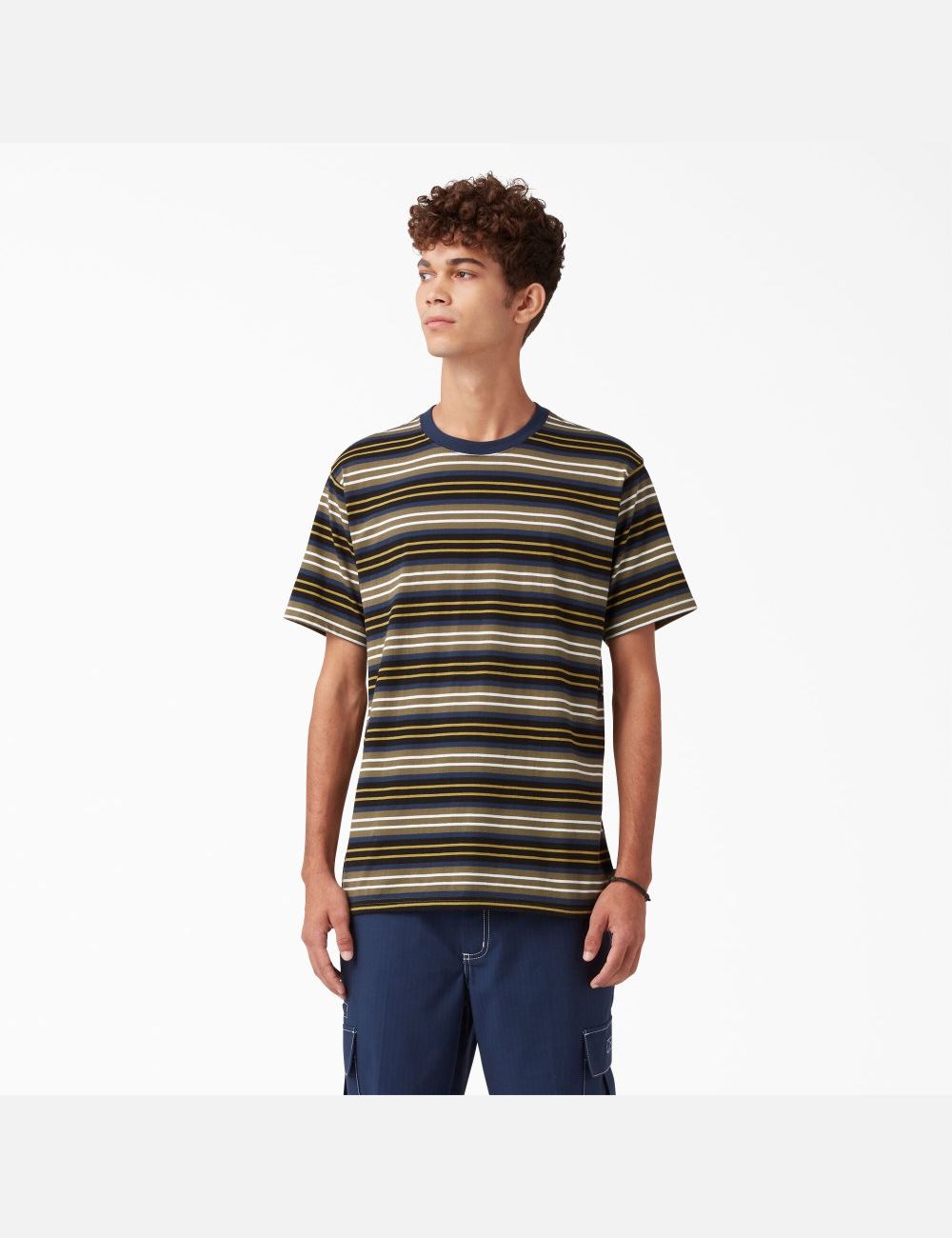 Black/Moss Stripe Dickies Skateboarding Striped T-Shirts | 769TJFXKP