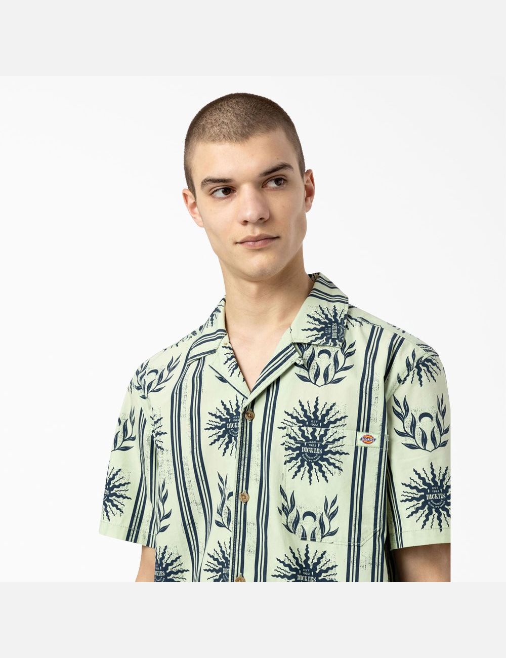 Celadon Green Dickies Kelso Summer Pattern Short Sleeve Shirt Button Up | 514LTAYSK