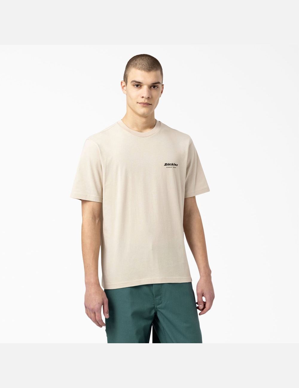 Cement Dickies Artondale Graphic T-Shirts | 238ZPQWIU