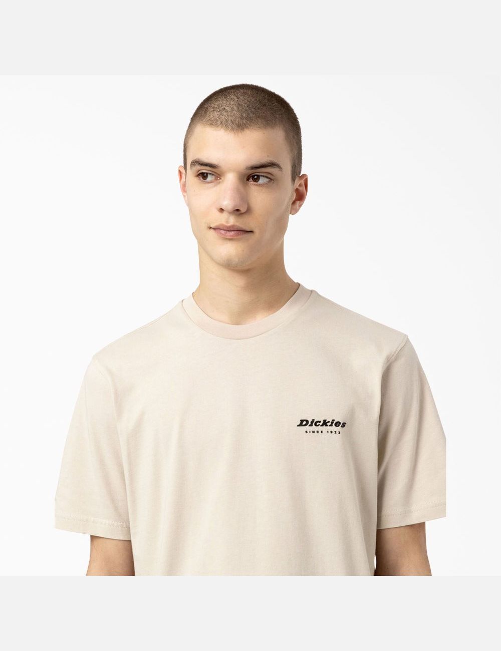 Cement Dickies Artondale Graphic T-Shirts | 238ZPQWIU