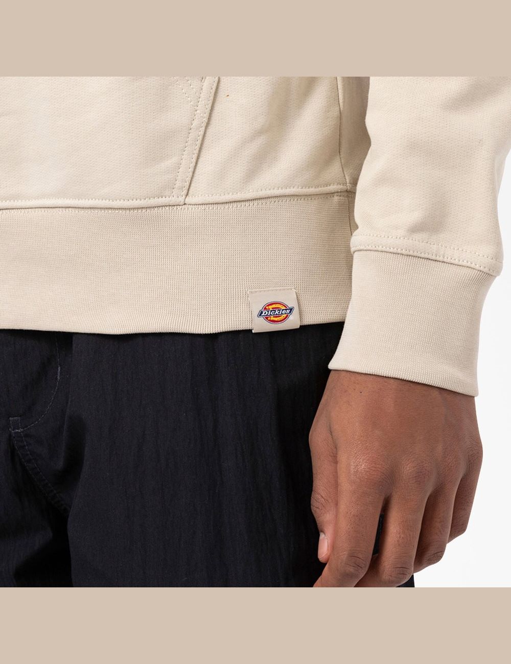 Cement Dickies Pacific Embroidered Graphic Hoodies | 734JSHXDR