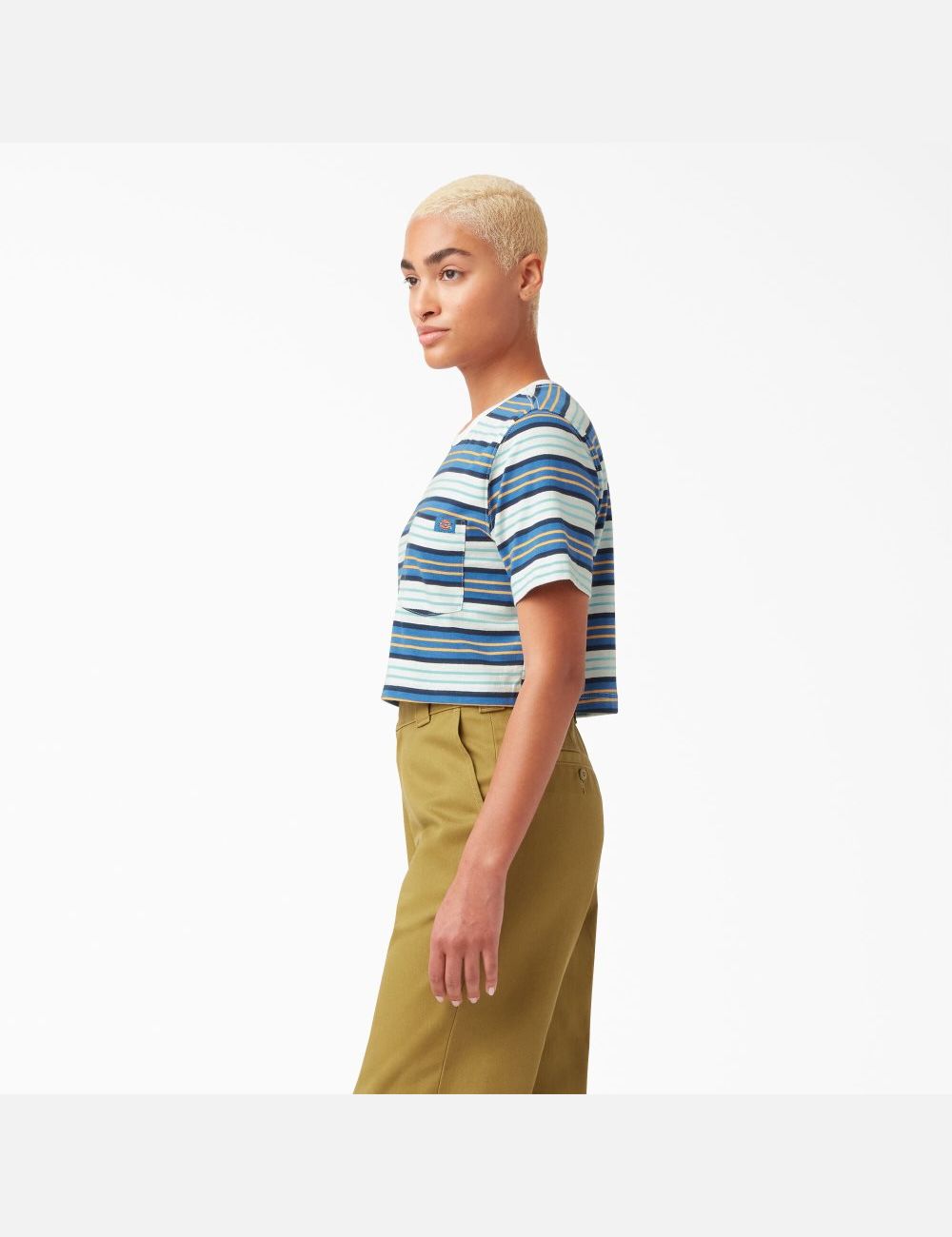 Cobalt Stripe Dickies Striped T-Shirt Cropped Tops | 804TAIXMO