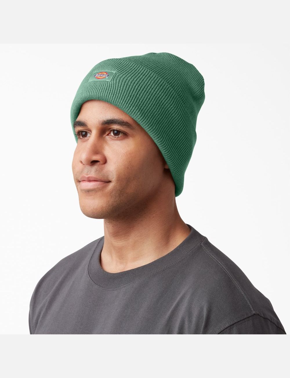 Dark Ivy Dickies Cuffed Knit Hats | 217TGMKRF