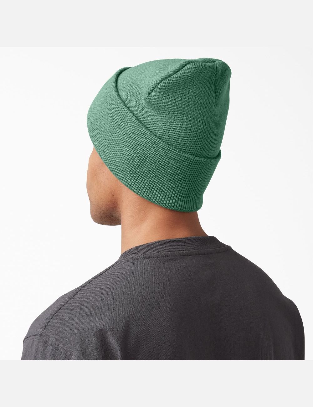 Dark Ivy Dickies Cuffed Knit Hats | 217TGMKRF