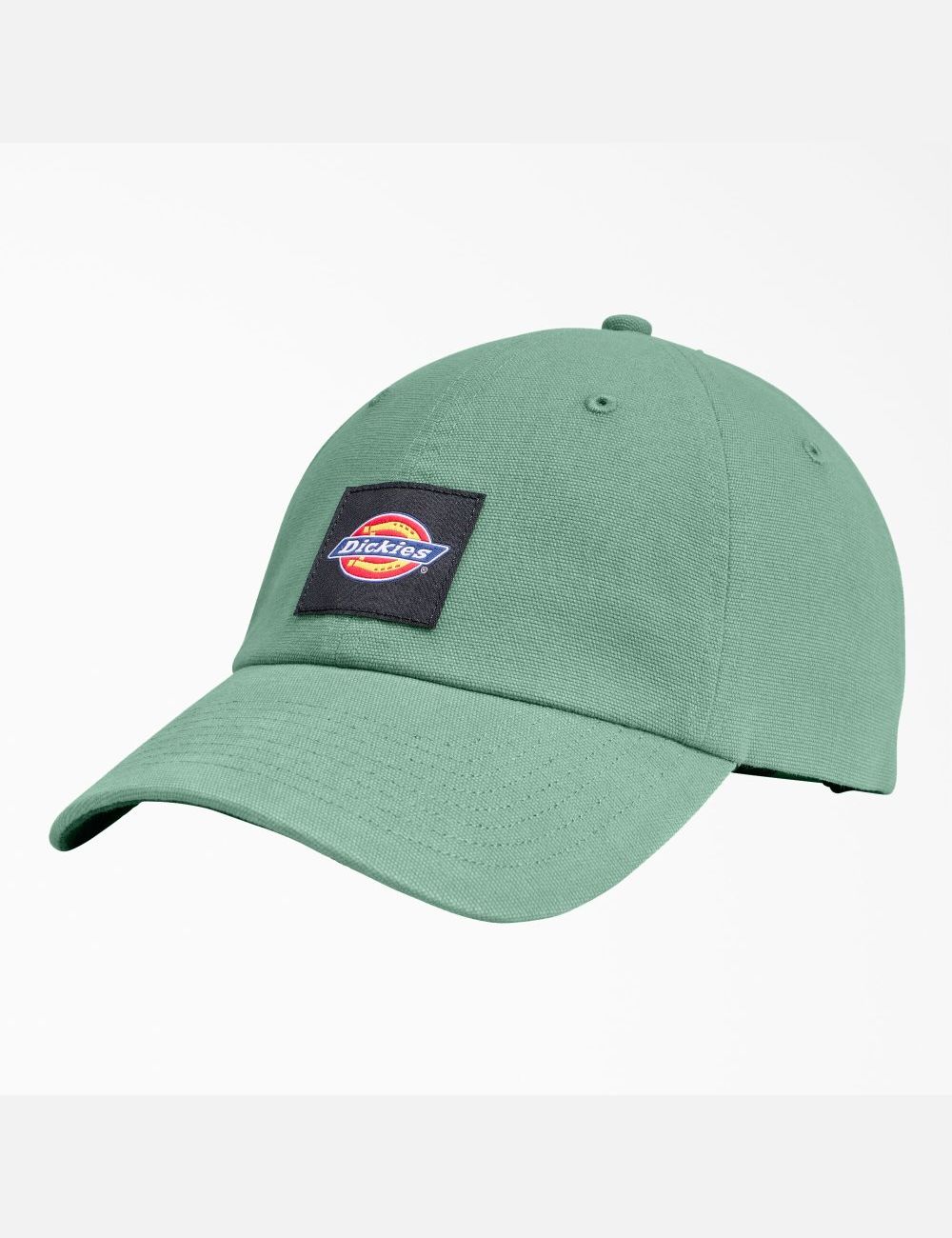 Dark Ivy Dickies Washed Canvas Hats | 169XQLBIT