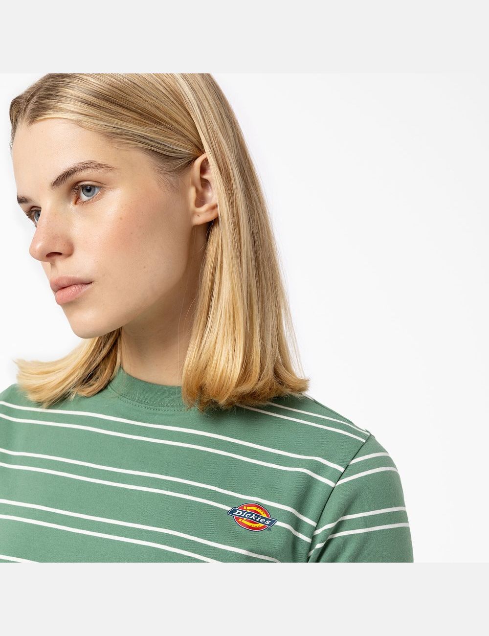 Dark Ivy Dickies Westover Stripe Short Sleeve T-Shirts | 743WQLMOA