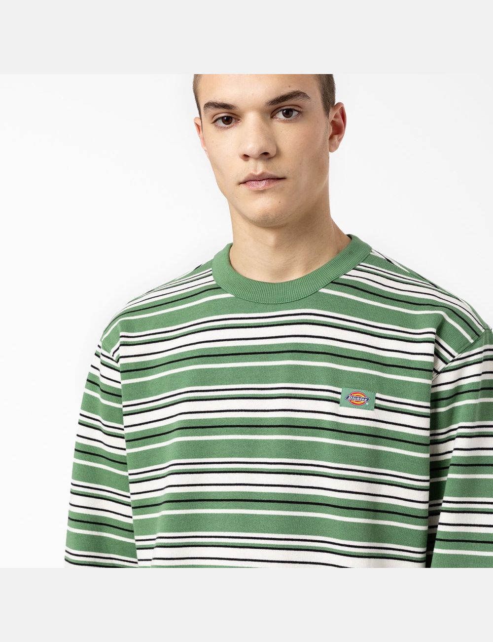 Dark Ivy Variegated Stripe Dickies Westover Striped Crew Neck Sweatshirts | 063ICXWNE