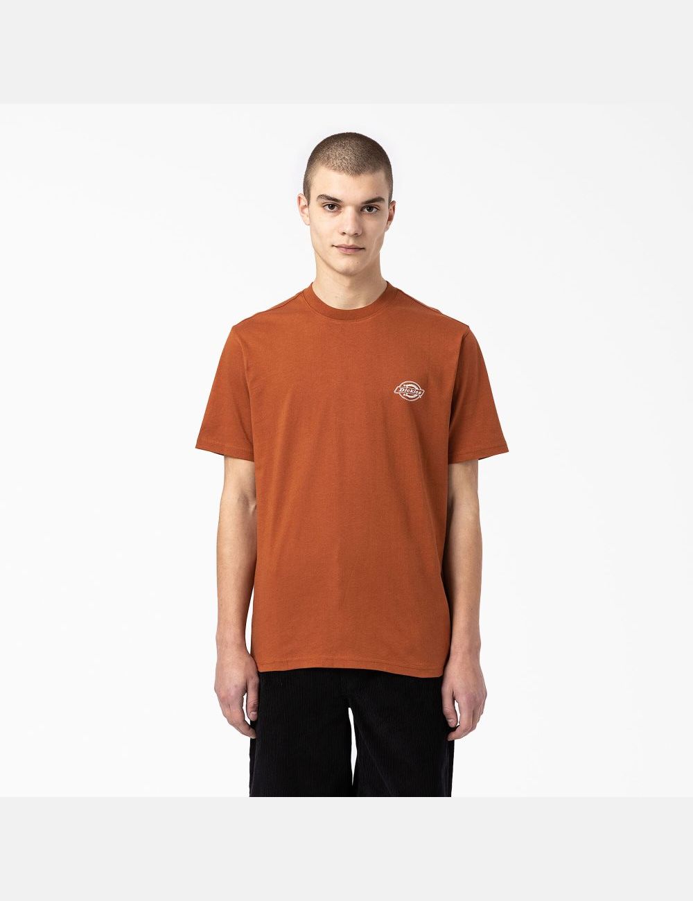 Gingerbread Brown Dickies Back Logo Graphic T-Shirts | 648DTHEZP