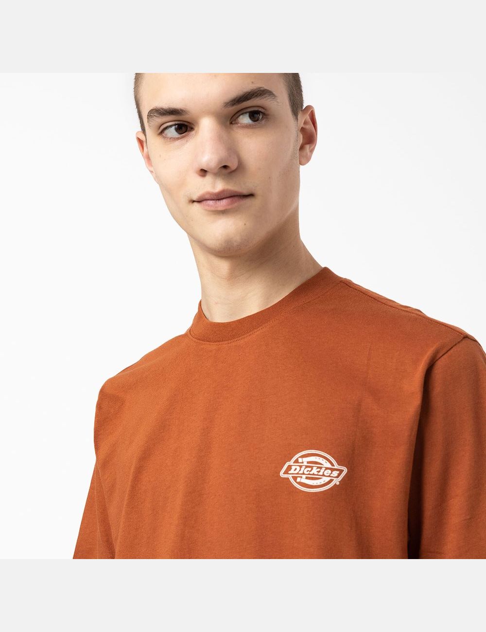 Gingerbread Brown Dickies Back Logo Graphic T-Shirts | 648DTHEZP