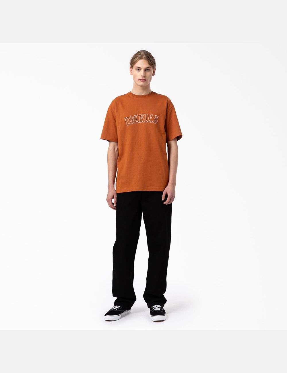 Gingerbread Brown Dickies Union Springs Short Sleeve T-Shirts | 978RYXQPZ