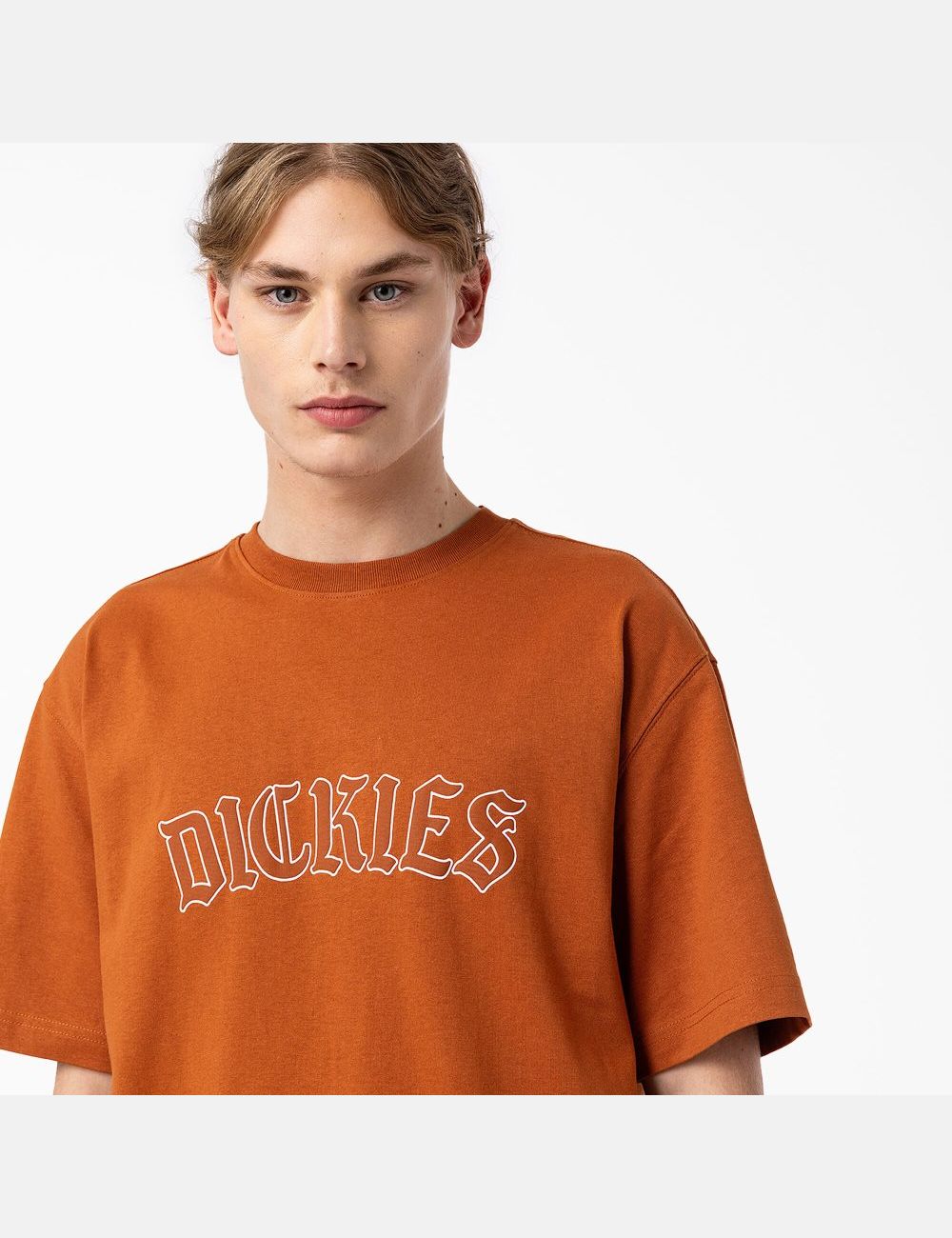 Gingerbread Brown Dickies Union Springs Short Sleeve T-Shirts | 978RYXQPZ