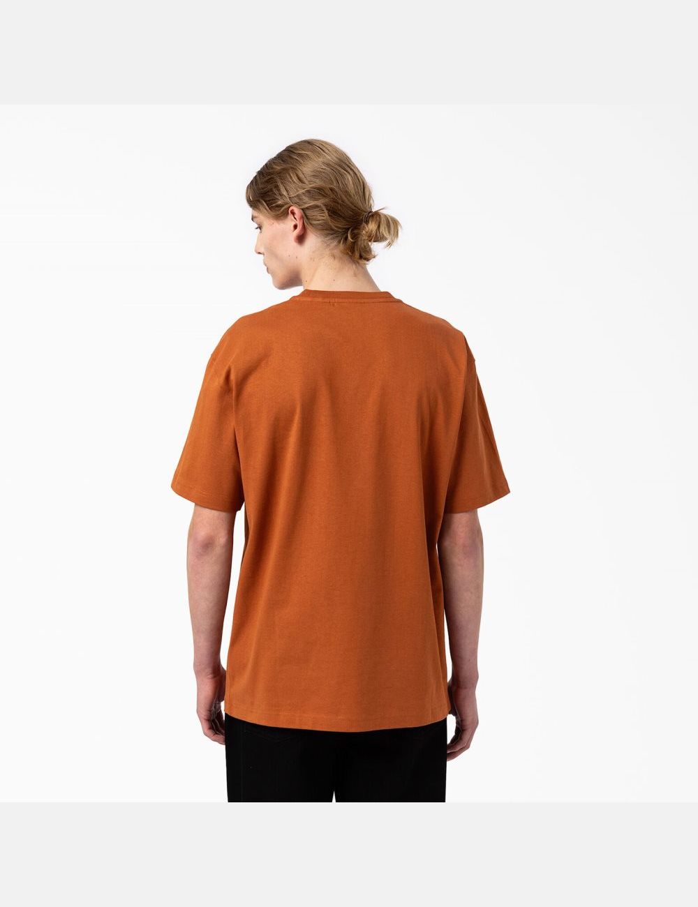 Gingerbread Brown Dickies Union Springs Short Sleeve T-Shirts | 978RYXQPZ