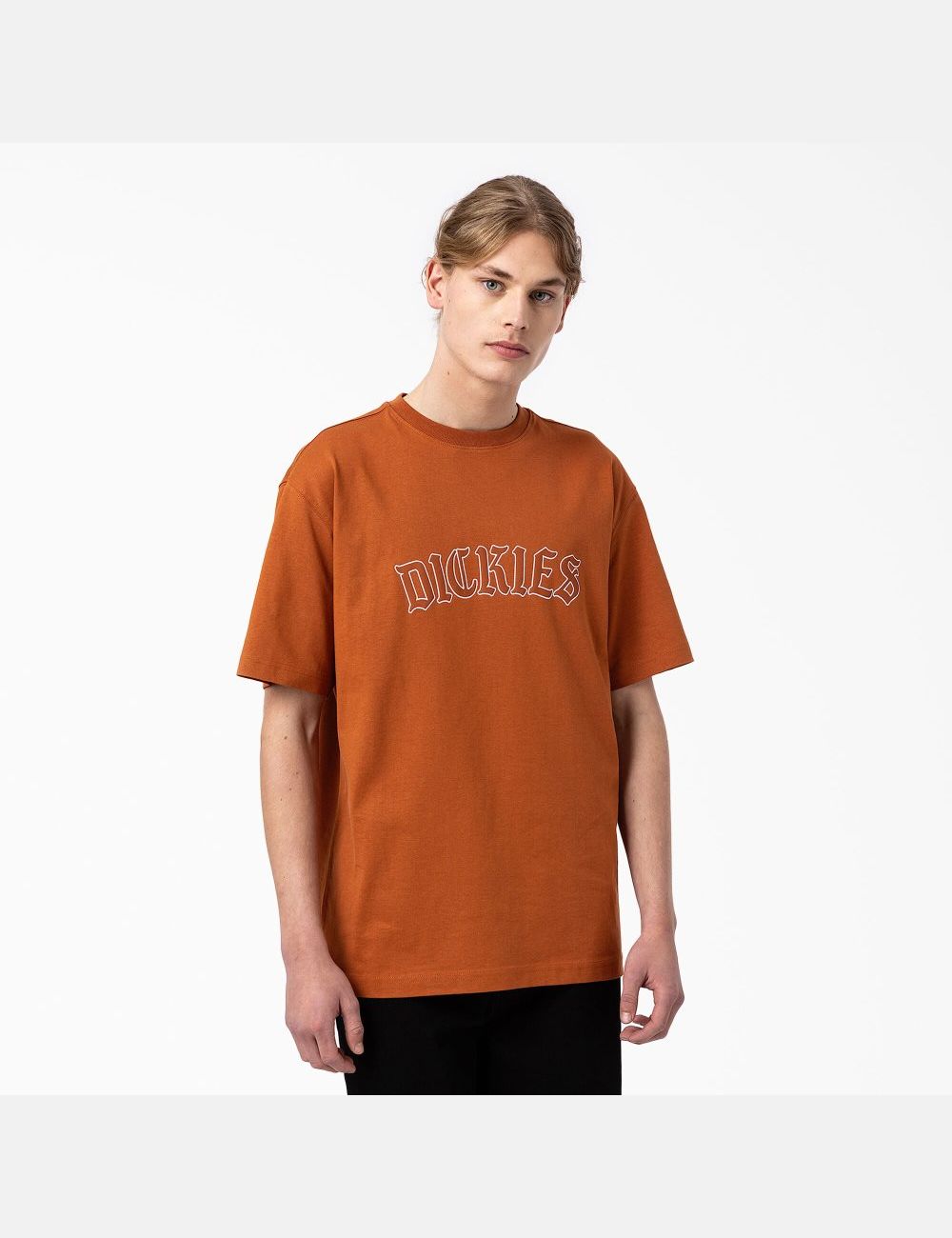 Gingerbread Brown Dickies Union Springs Short Sleeve T-Shirts | 978RYXQPZ