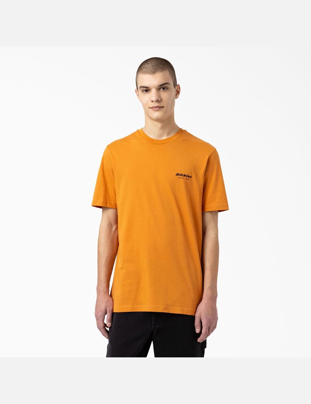 Golden Glow Dickies Artondale Graphic T-Shirts | 203YDPTMQ