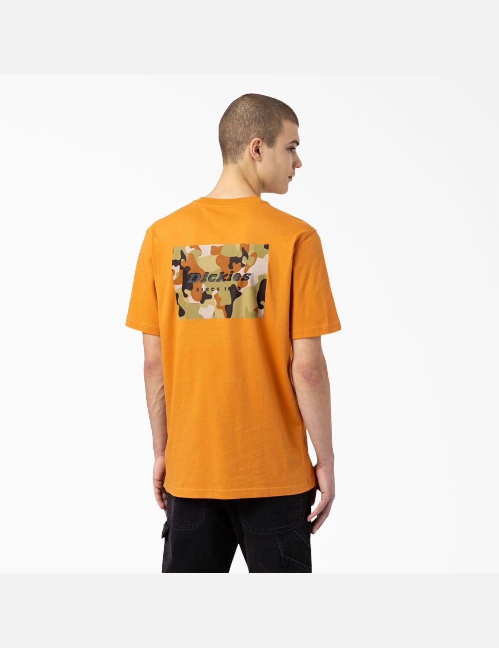 Golden Glow Dickies Artondale Graphic T-Shirts | 203YDPTMQ