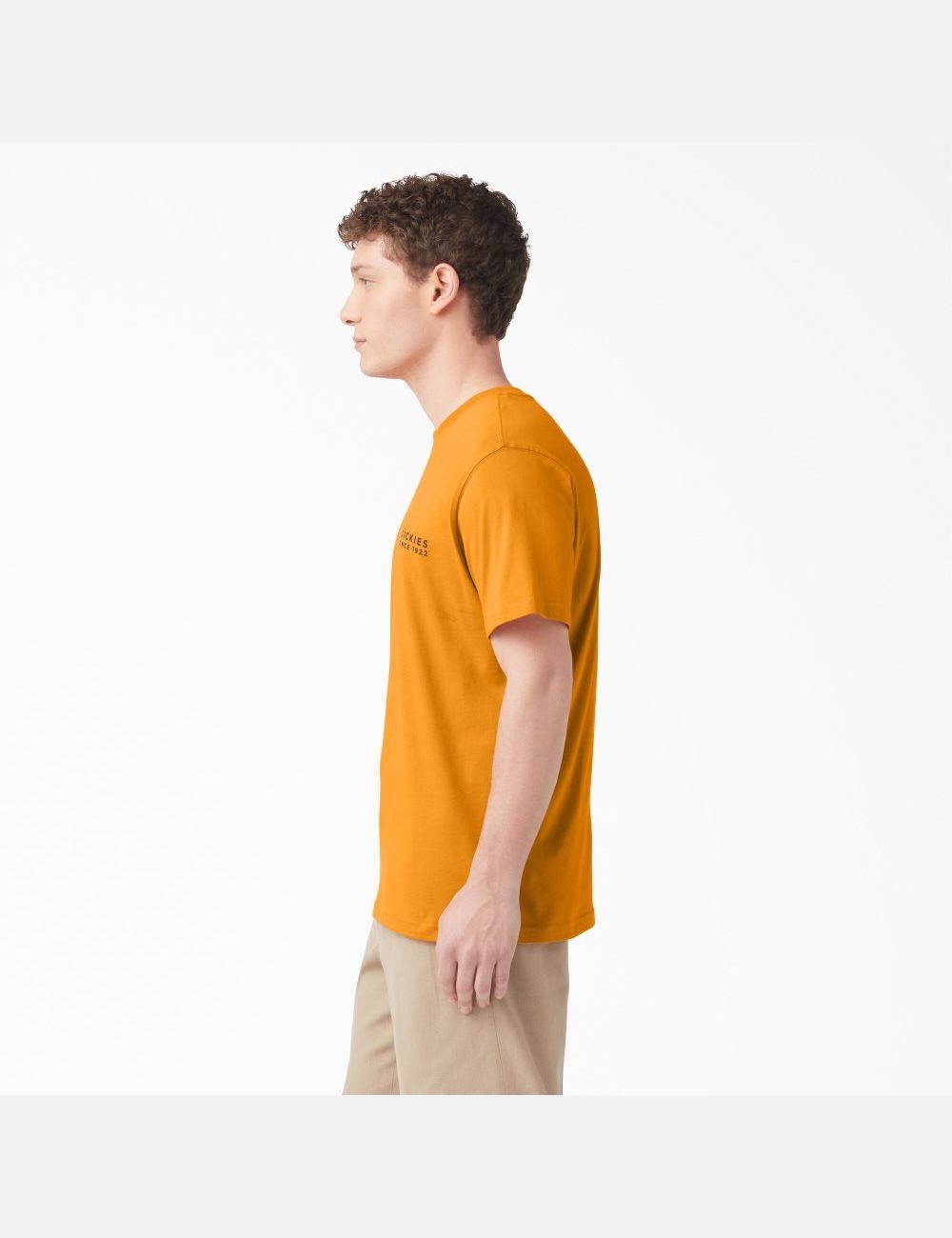 Golden Glow Dickies Pacific Graphic T-Shirts | 271HZGYUF