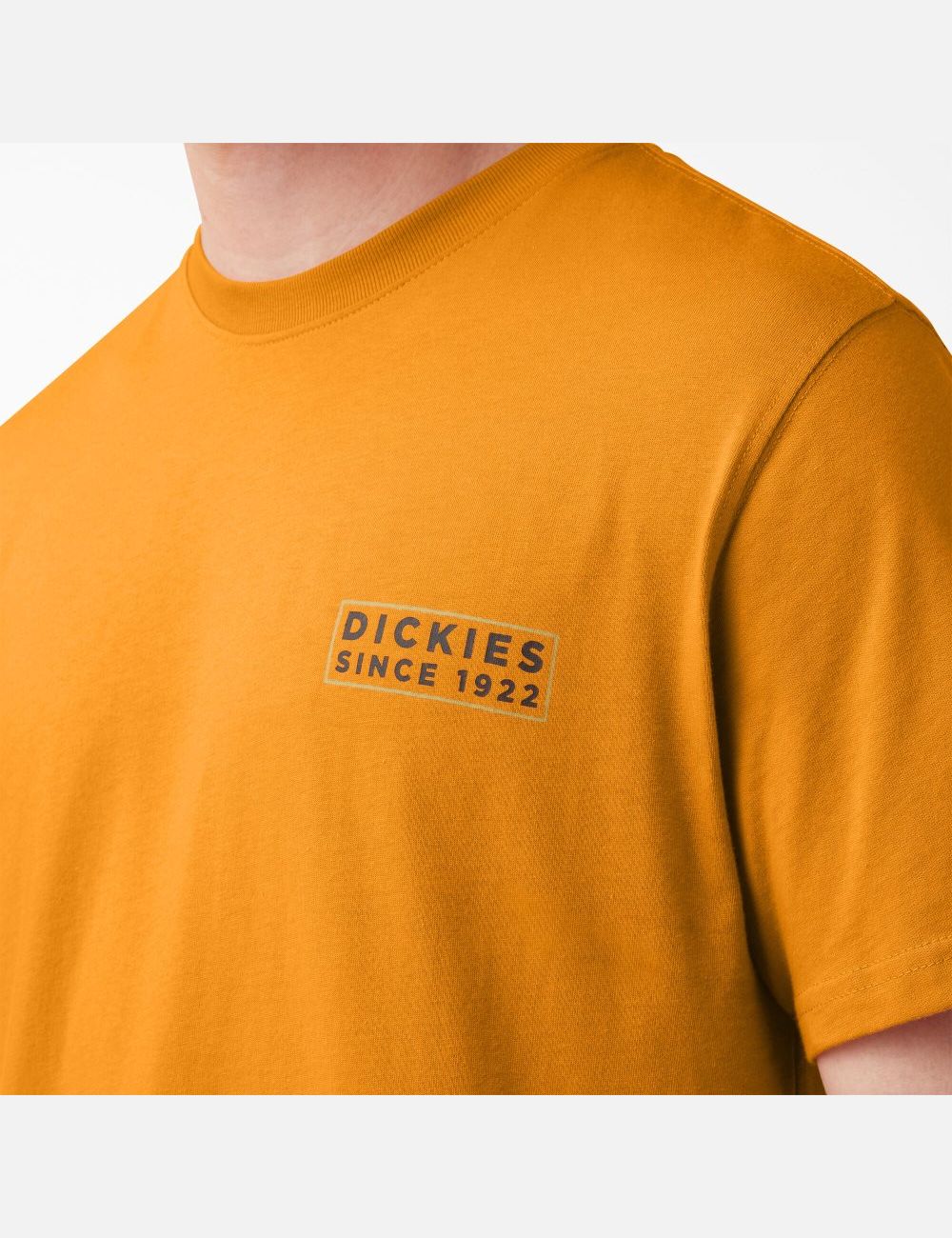 Golden Glow Dickies Pacific Graphic T-Shirts | 271HZGYUF